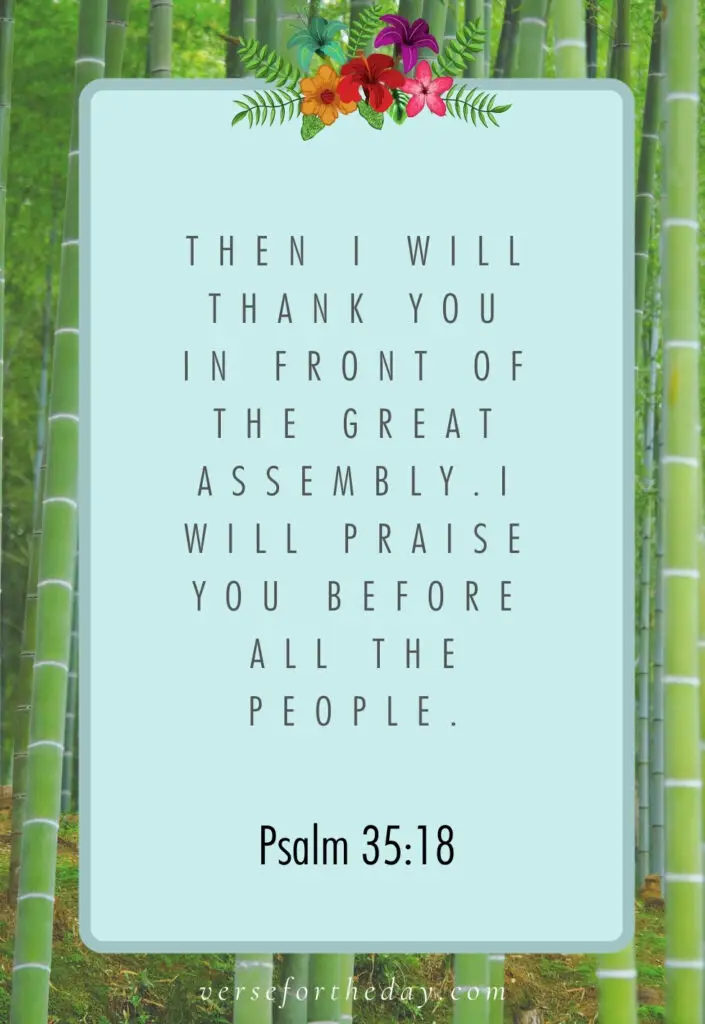 Quote on Psalm 35:18