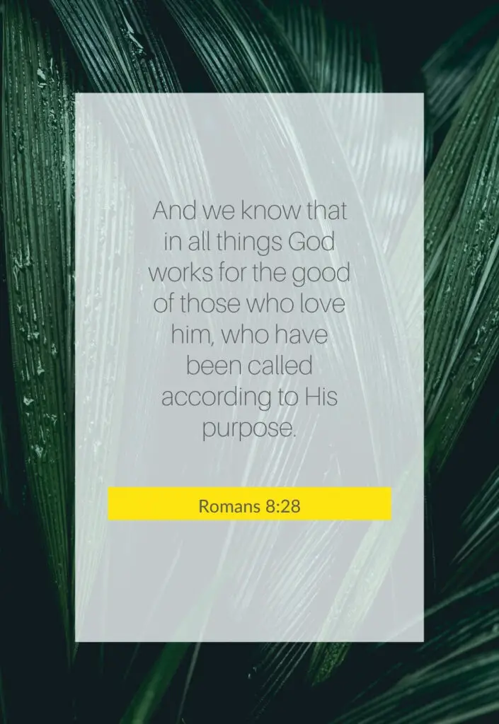 Quote on Romans 8:28