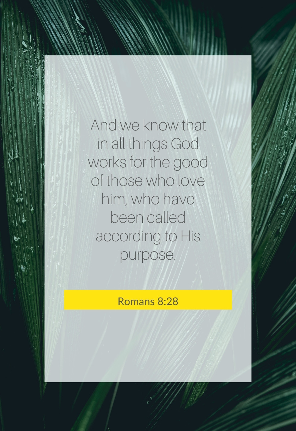 291 Bible Verses and Scriptures for Comfort - Bible Verse of the Day