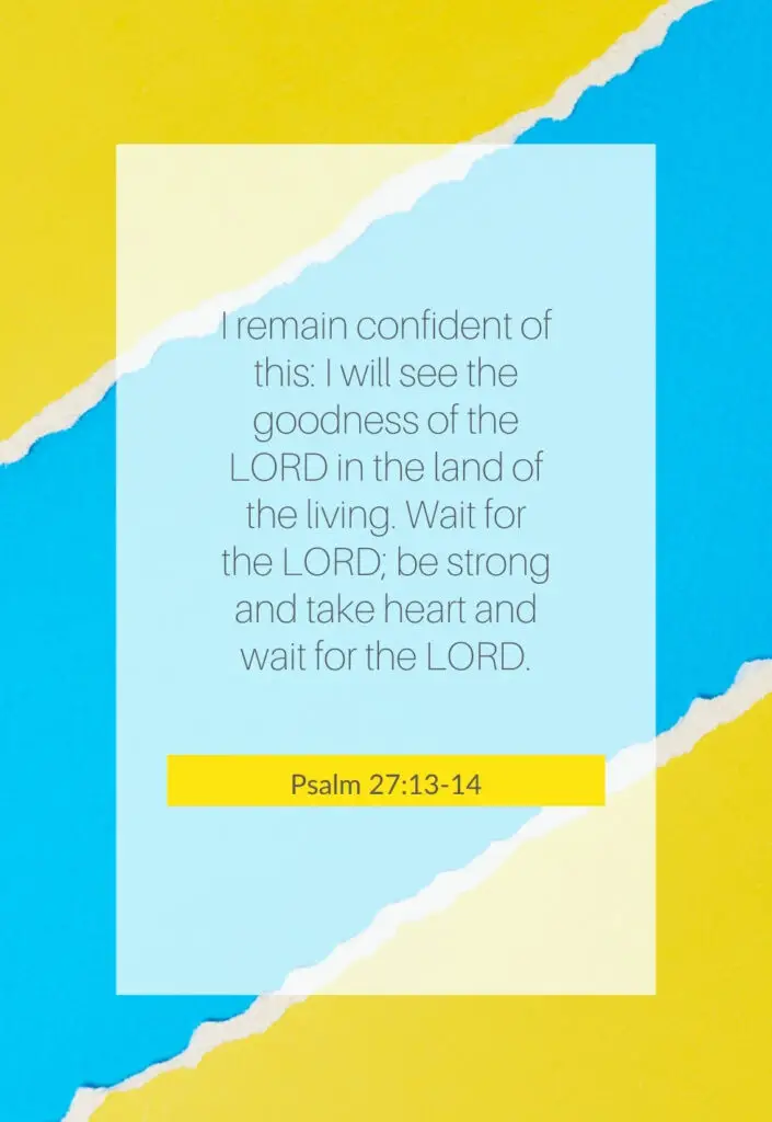 Quote on Psalm 27:13-14