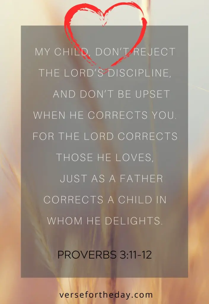 Quote on Proverbs 3:11-12