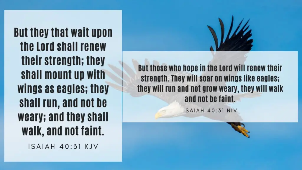 Bible Verse of the Day KJV and NIV - Isaiah 40 31