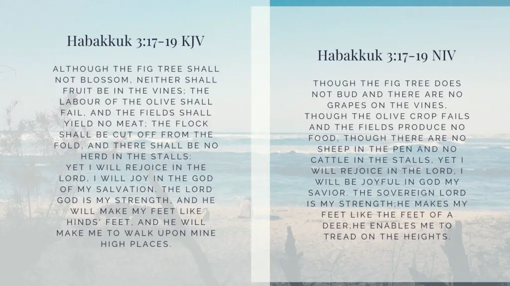 Habakkuk 3:17-19 KJV and NIV