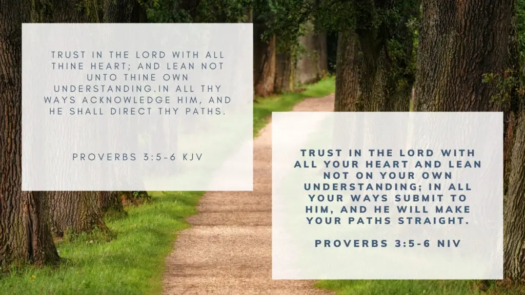 Bible Verse of the Day KJV & NIV - Proverbs 3:5-6