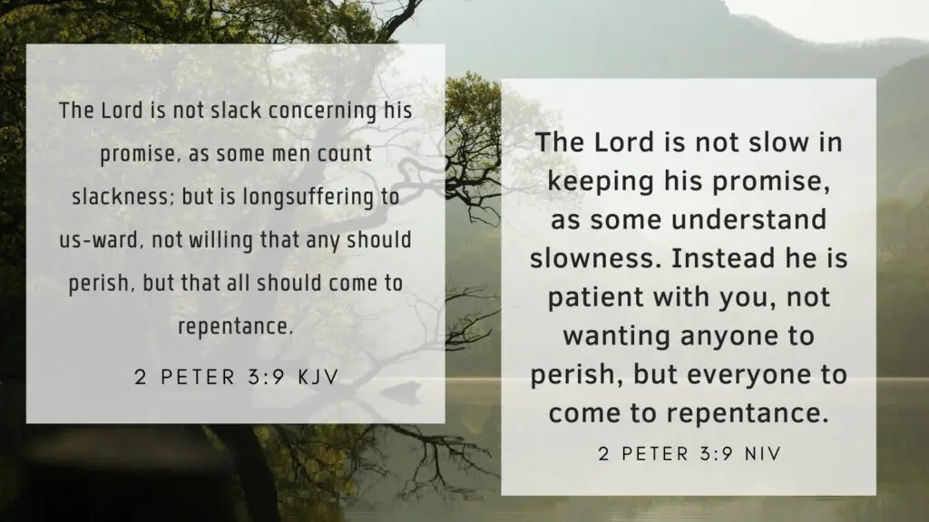 Quote on 2 Peter 3:9 KJV and NIV