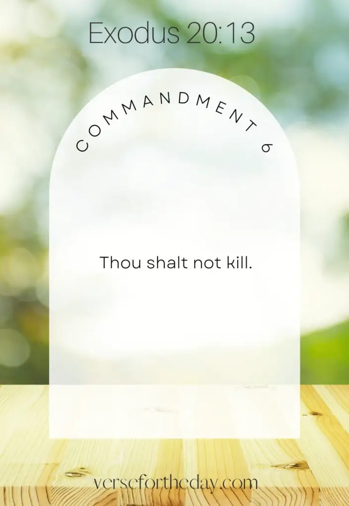 Commandment No. 6