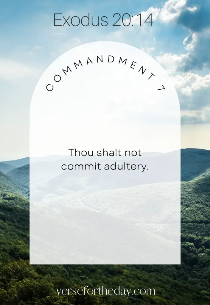 Commandment No. 7