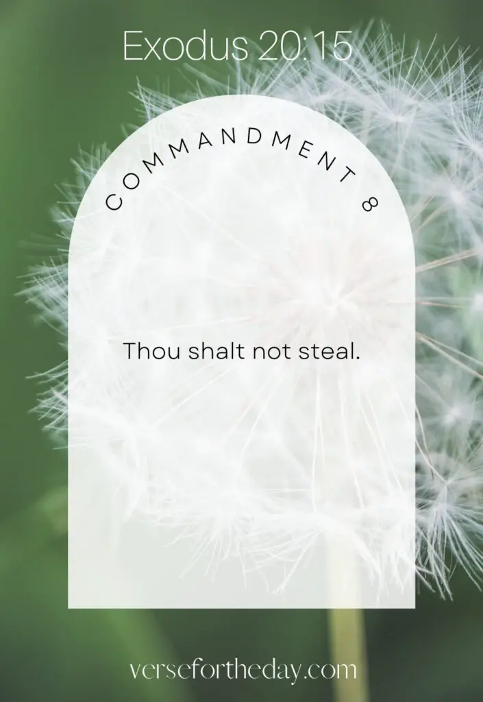 Comandment No. 8