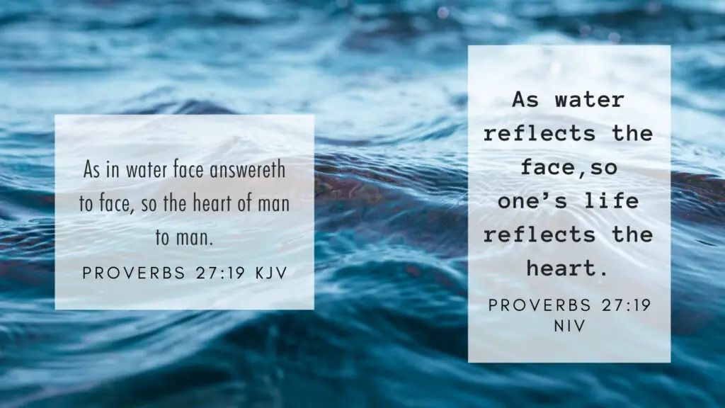Proverbs 27:19 KJV and NIV