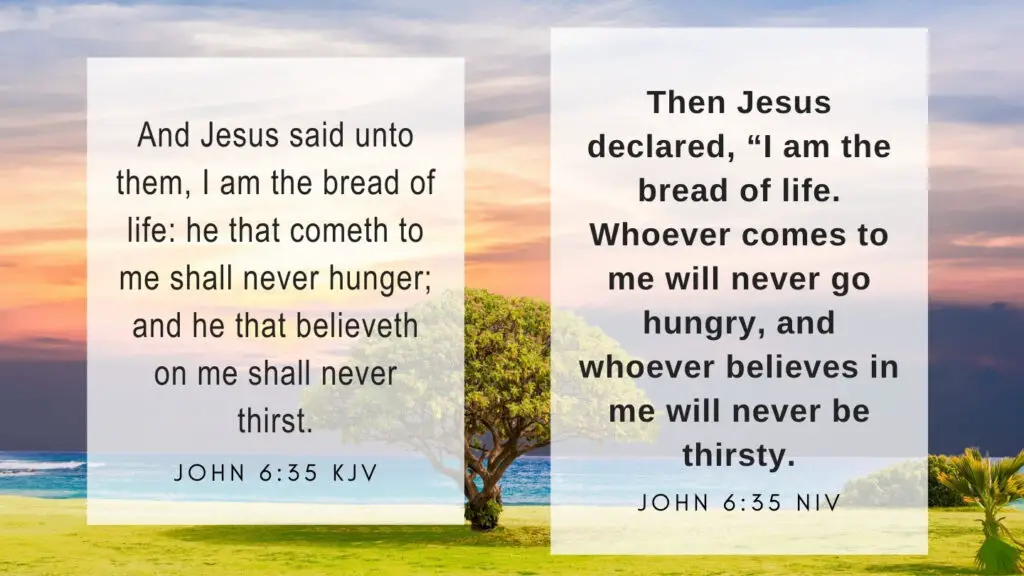 John 6:35 KJV and NIV