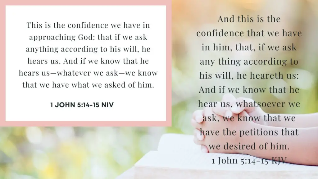 1 John 5:14-15 KJV and NIV