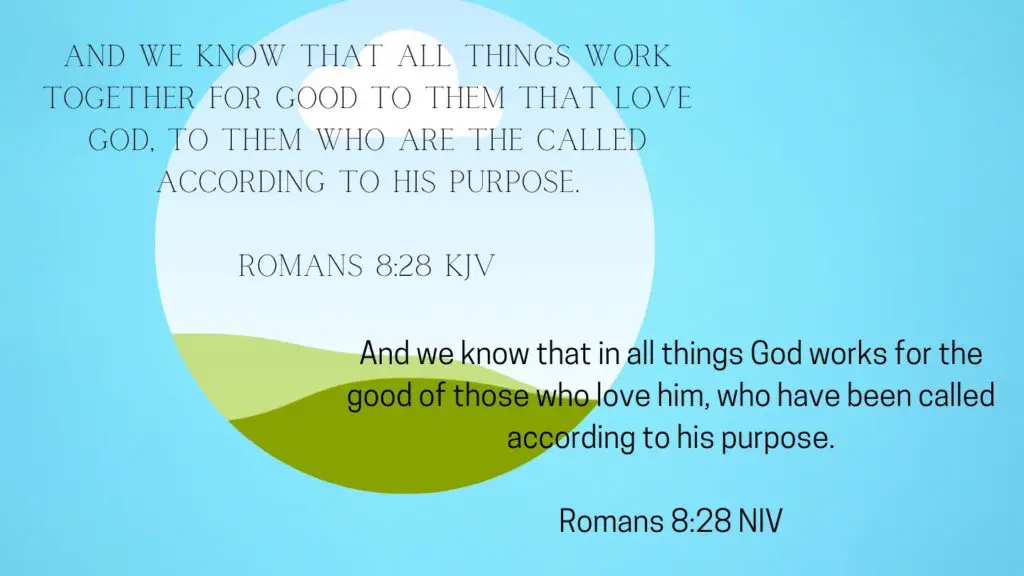 Romans 8:28 KJV and NIV