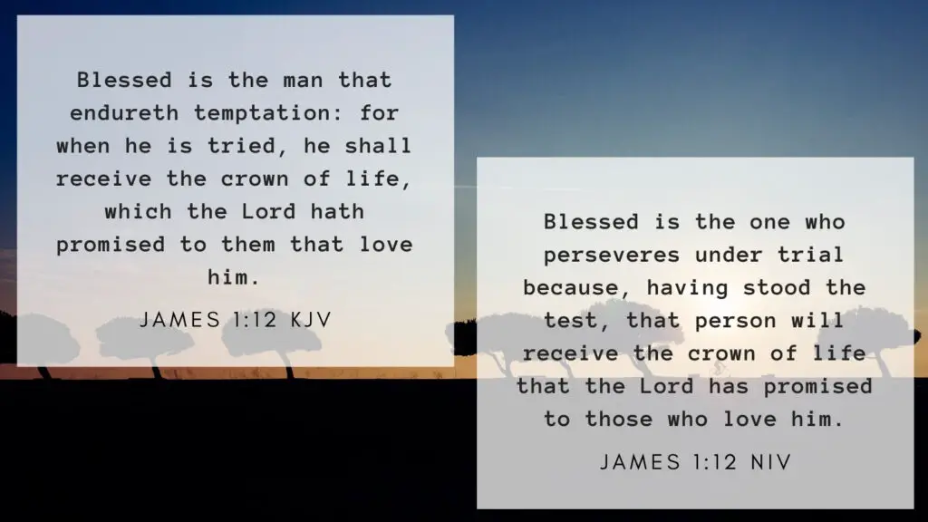 James 1:12 KJV and NIV