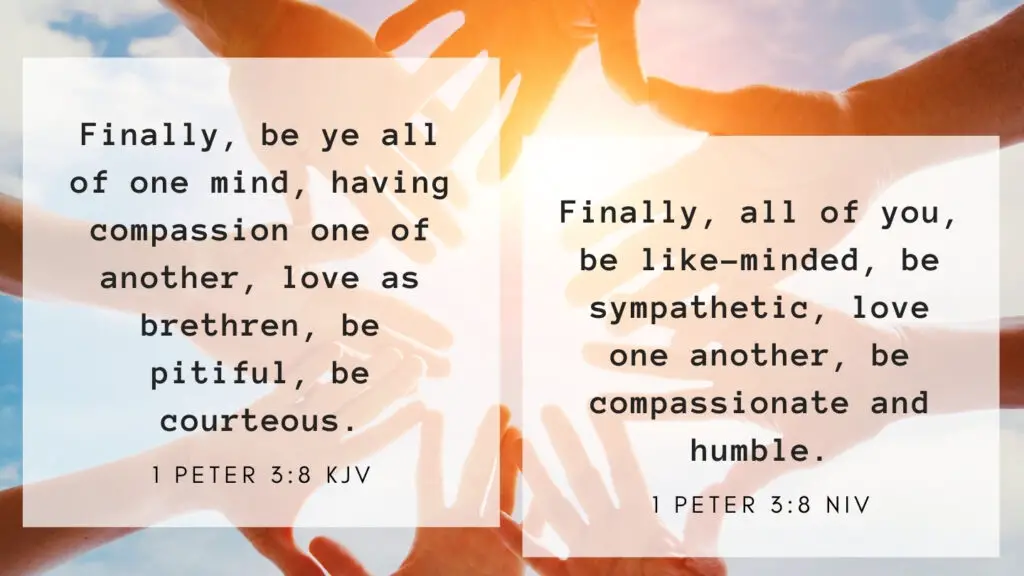 1 Peter 3:8 KJV and NIV