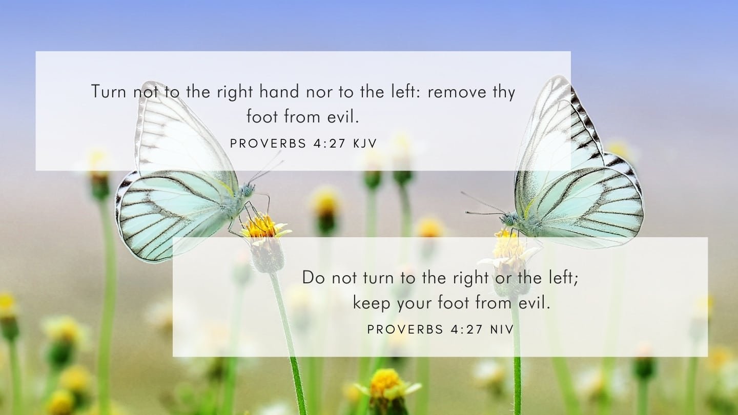 proverbs 37 verse 4