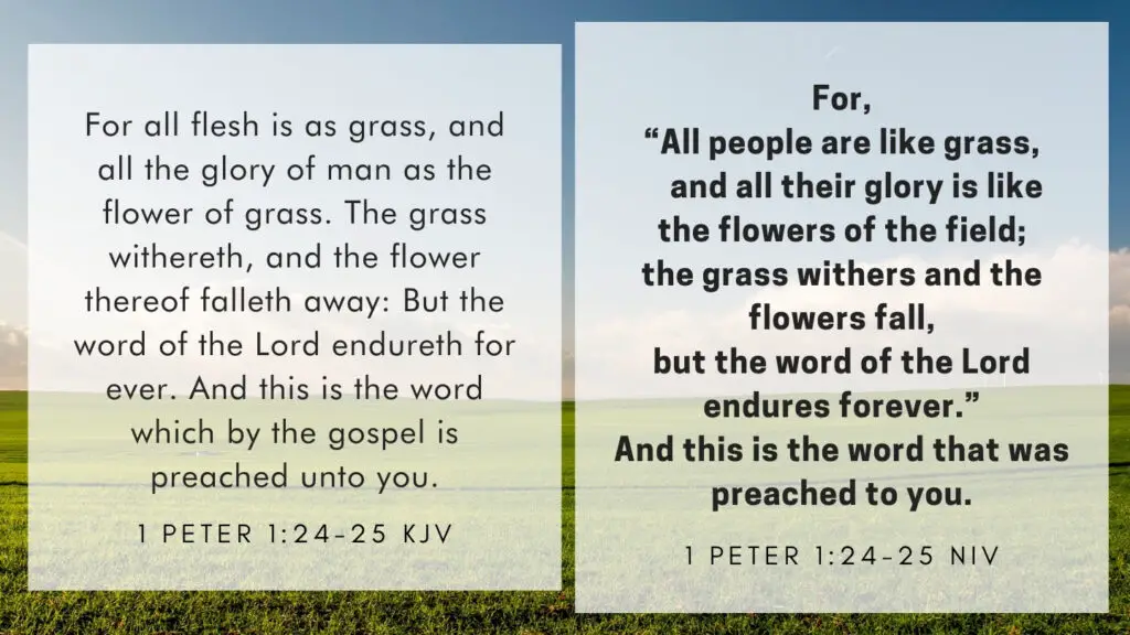 1 Peter 1:24-25 KJV and NIV