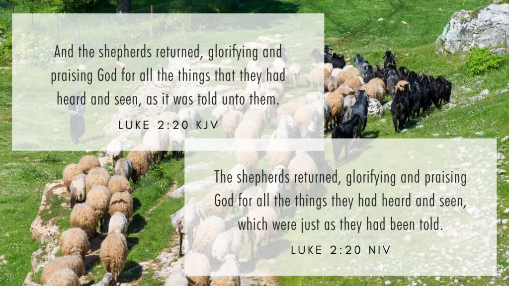 Luke 2:20 KJV and NIV