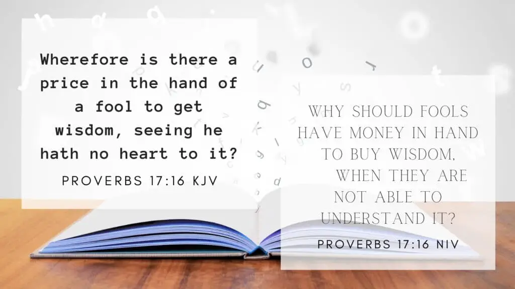 Bible Verse of the Day - Proverbs 17:16 KJV and NIV