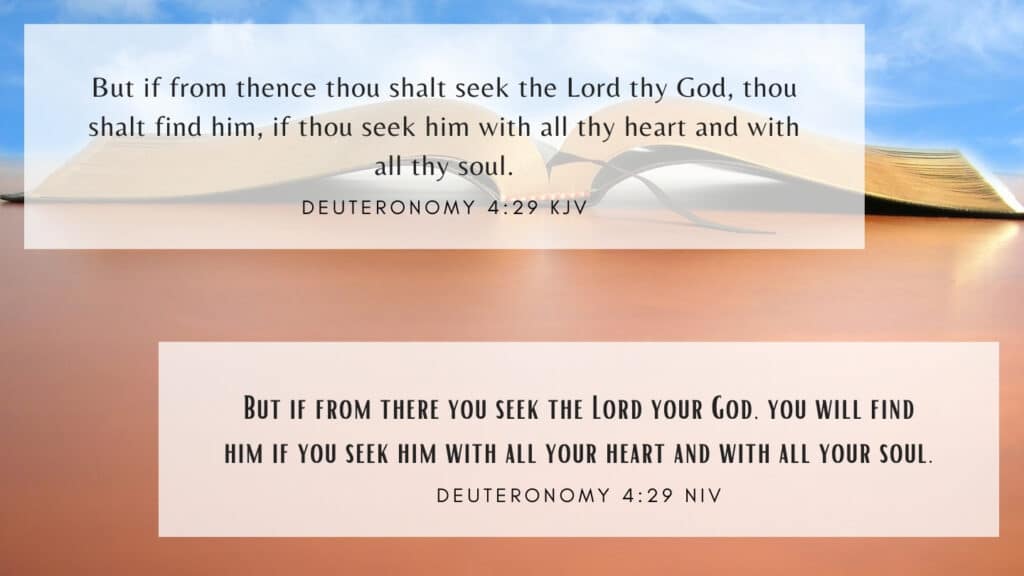 Bible Verse of the Day - Deuteronomy 4:29 KJV and NIV