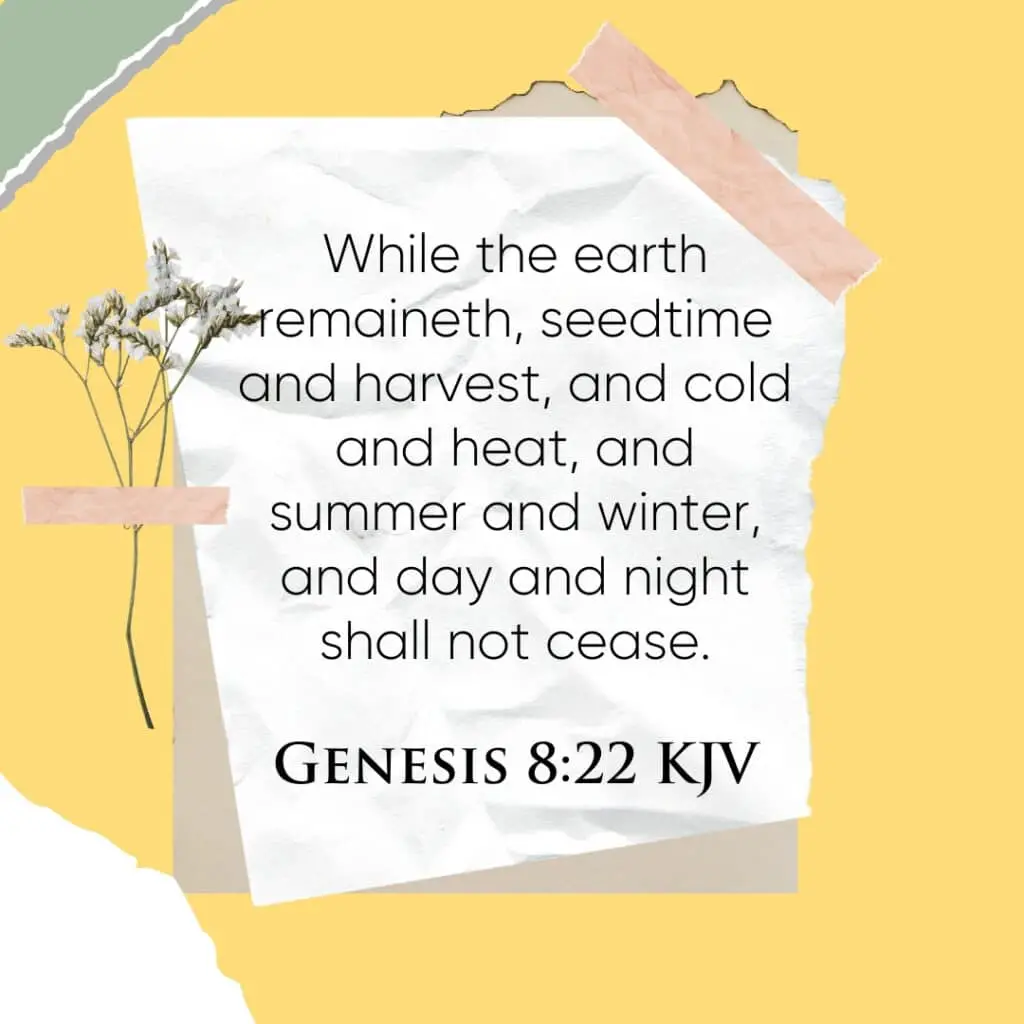Bible Verse of the Day - Genesis 8:22 KJV and NIV