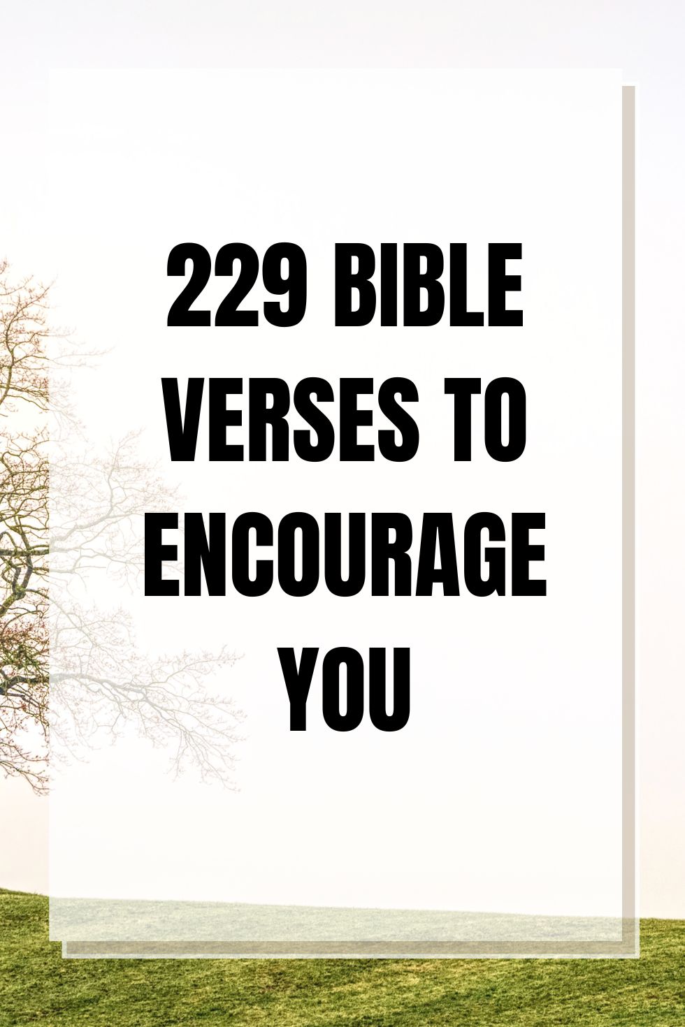 Encouraging Bible Verses 