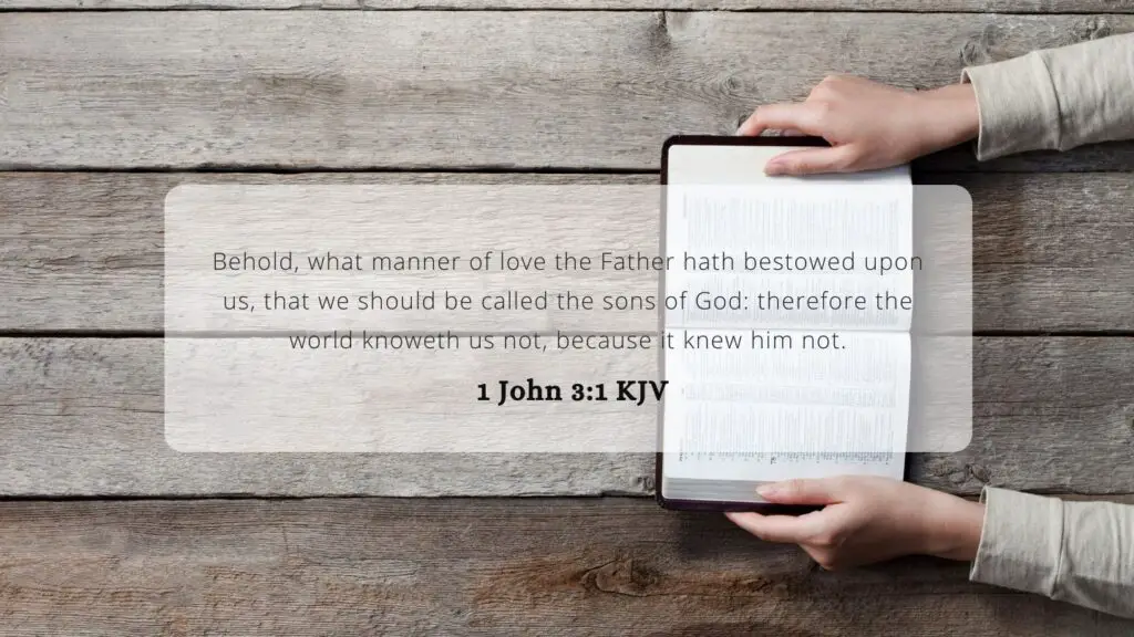 Bible Verse of the Day KJV - 1 John 3:1