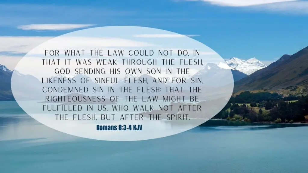 Bible Verse of the Day - Romans 8:3-4 KJV