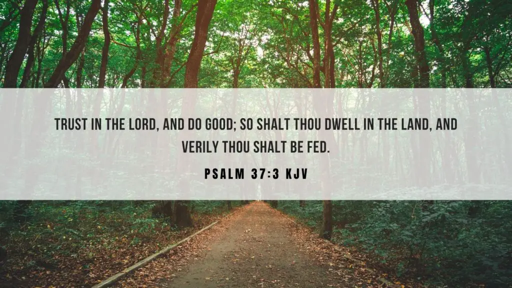 Bible verse of the Day KJV - Psalm 37:3