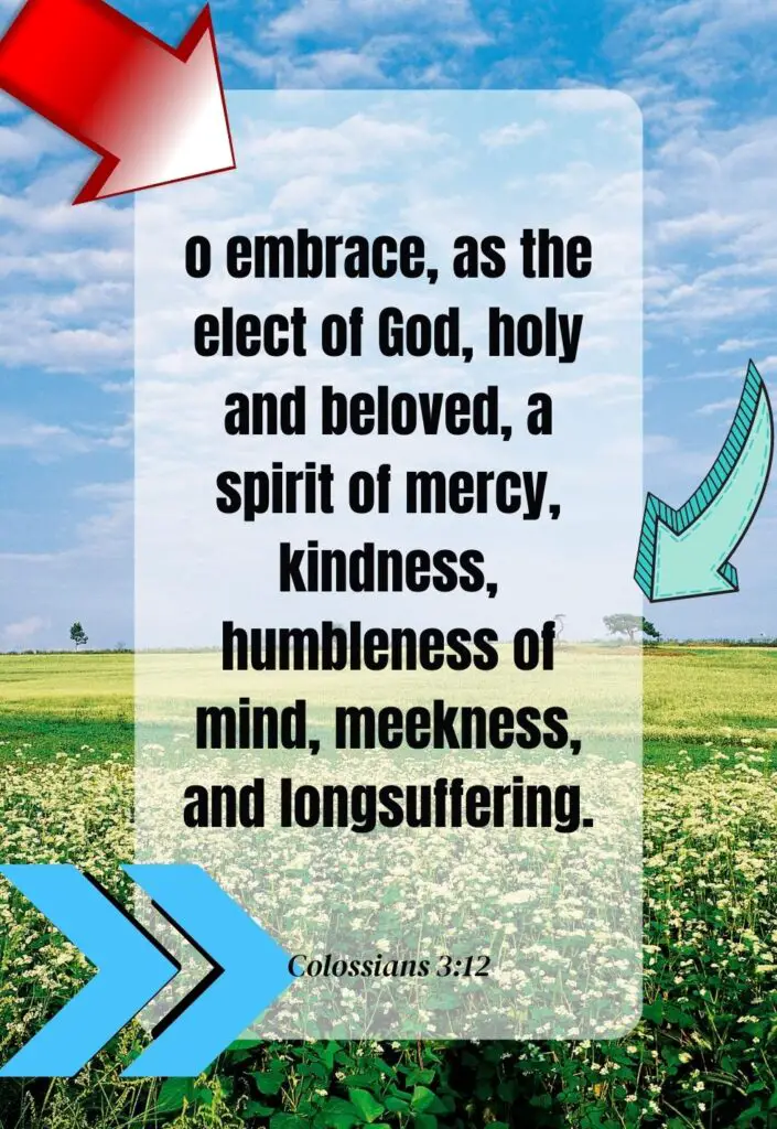 Bible verses about humbleness - Colossians 3:12
