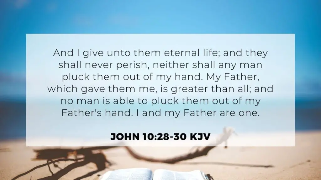 Bible verse of the Day - John 10:28-30 KJV