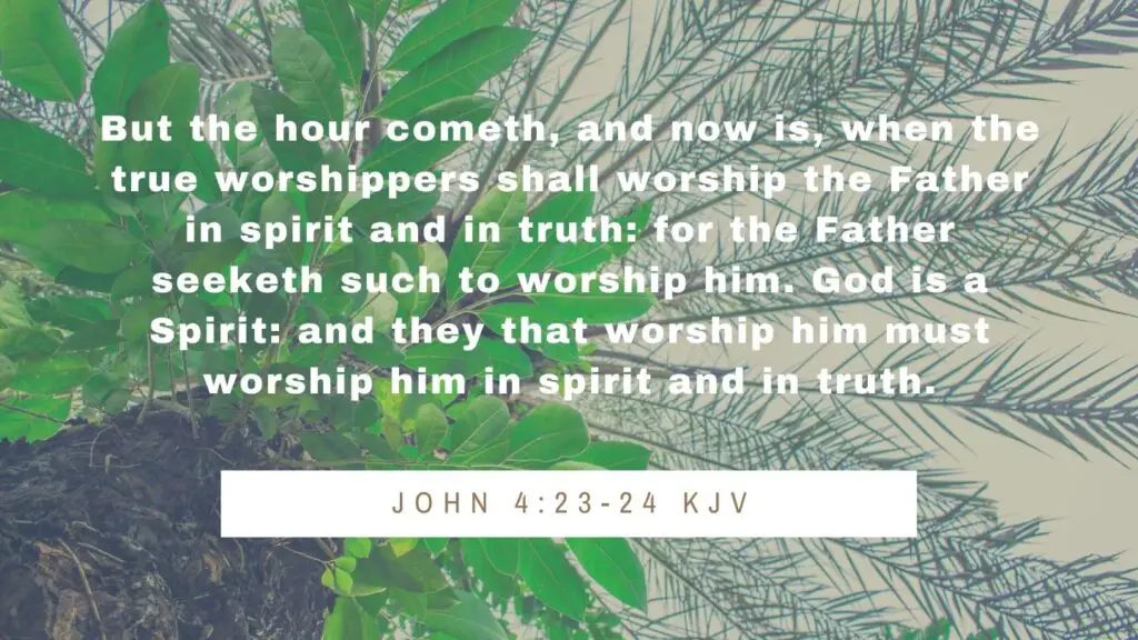 Bible verse of the Day - John 4:23-24 KJV