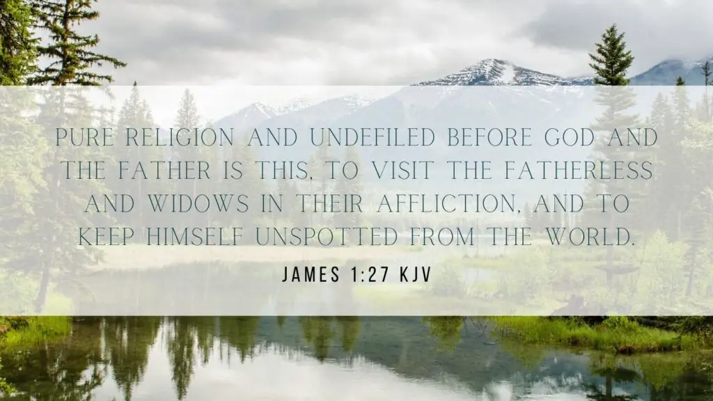 Bible verse of the Day - James 1:27 KJV