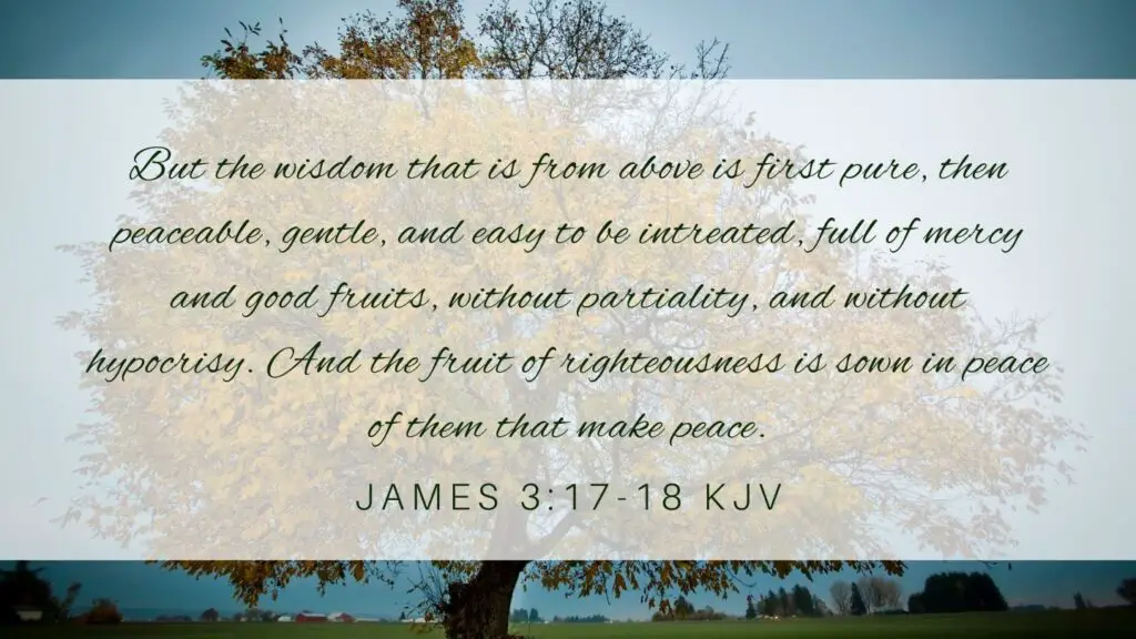 Bible verse of the Day - James 3:17-18 KJV