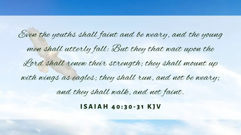 Bible verse of the Day - Isaiah 40:31 KJV