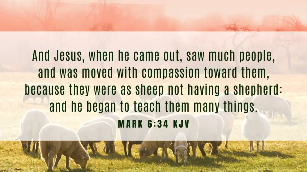 Bible verse of the Day - Mark 6:34 KJV