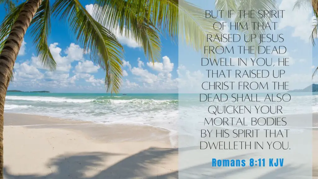 Bible Verse of the Day - Romans 8:11 KJV