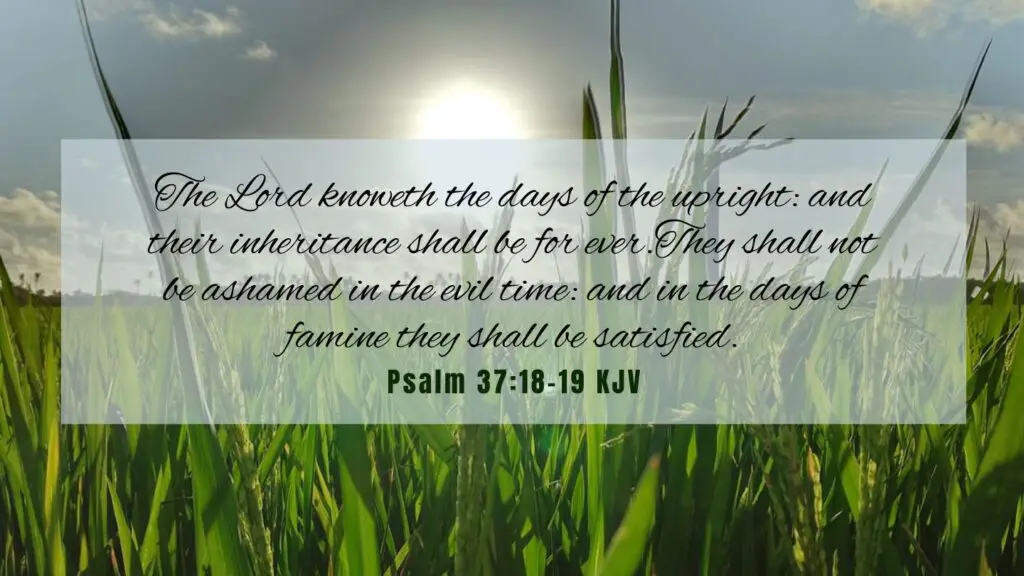 Bible Verse of the Day - Psalm 37:18-19 KJV