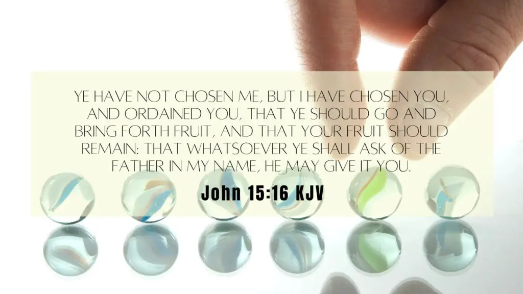 Bible Verse of the Day - John 15:16 KJV