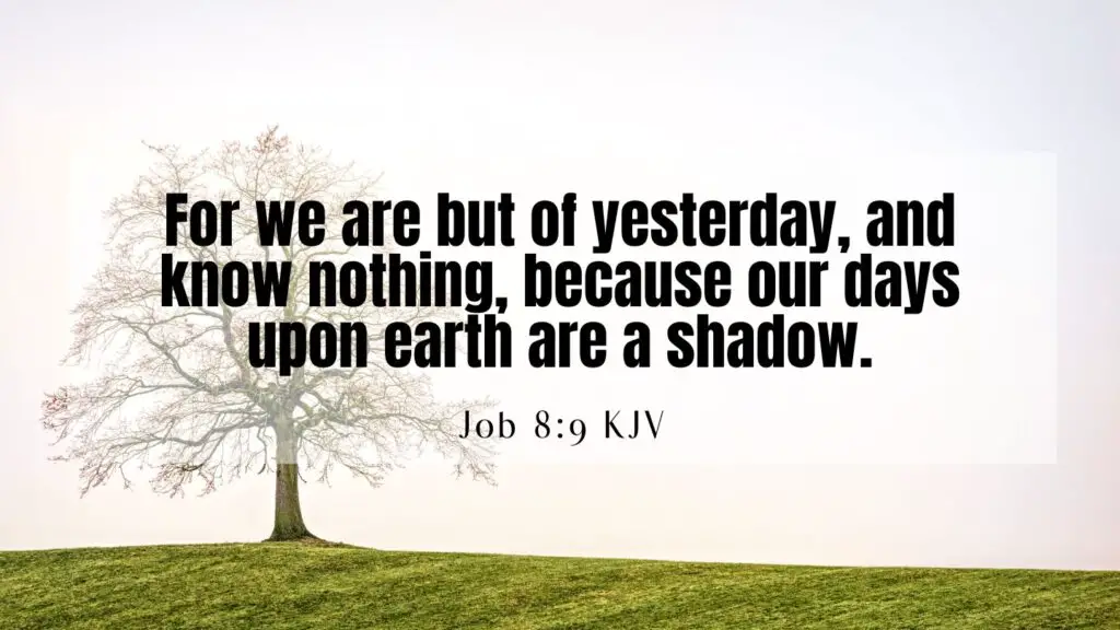 Bible Verse of the Day - Job 8:9 KJV