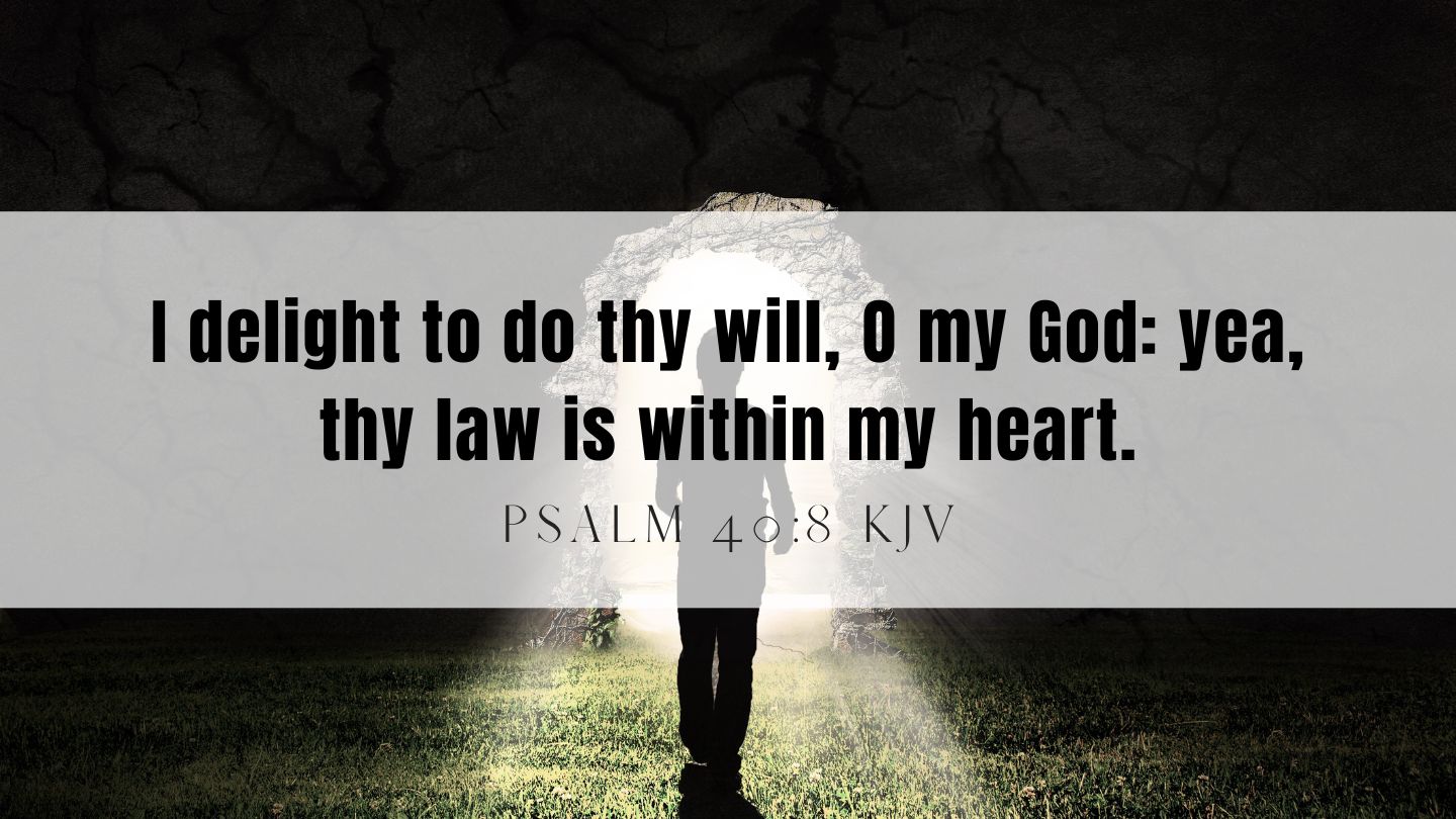 psalm-40-8-kjv-bible-verse-of-the-day