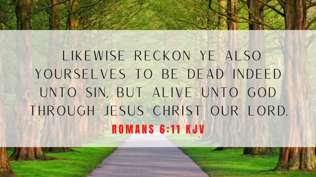 romans 6 9-11 kjv