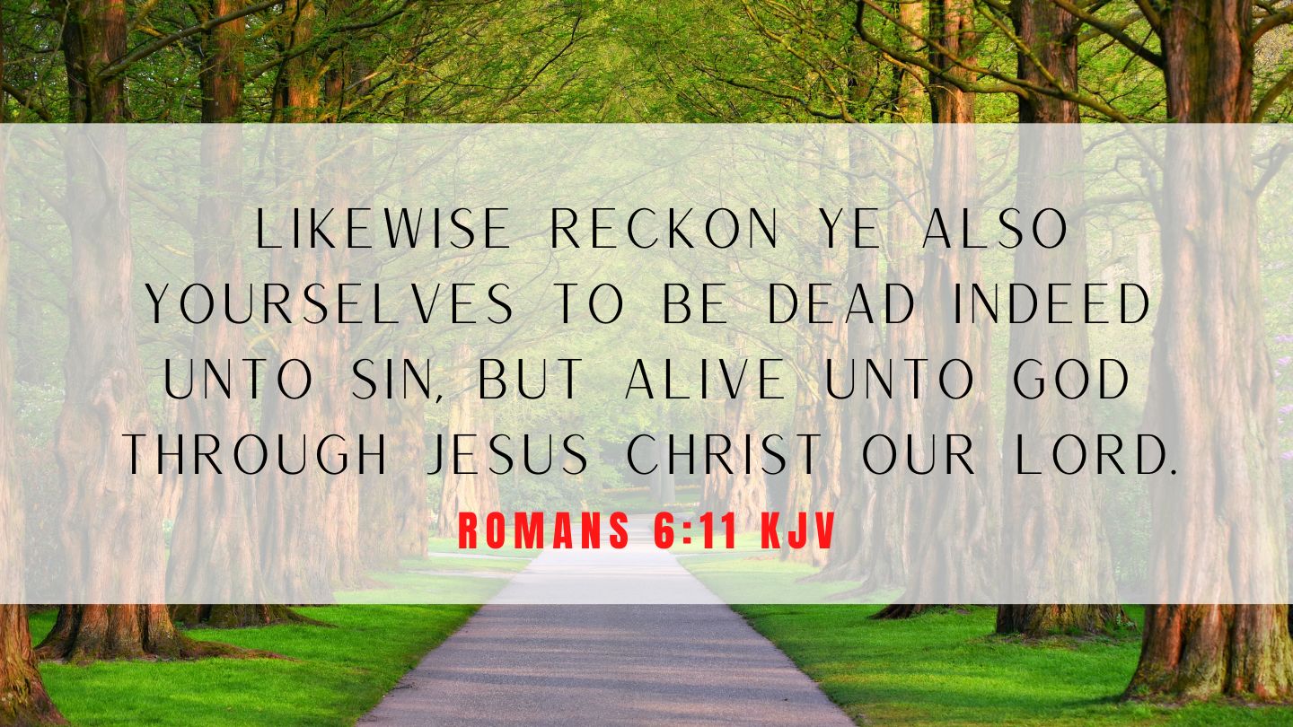 Romans 6 11 KJV Bible Verse Of The Day