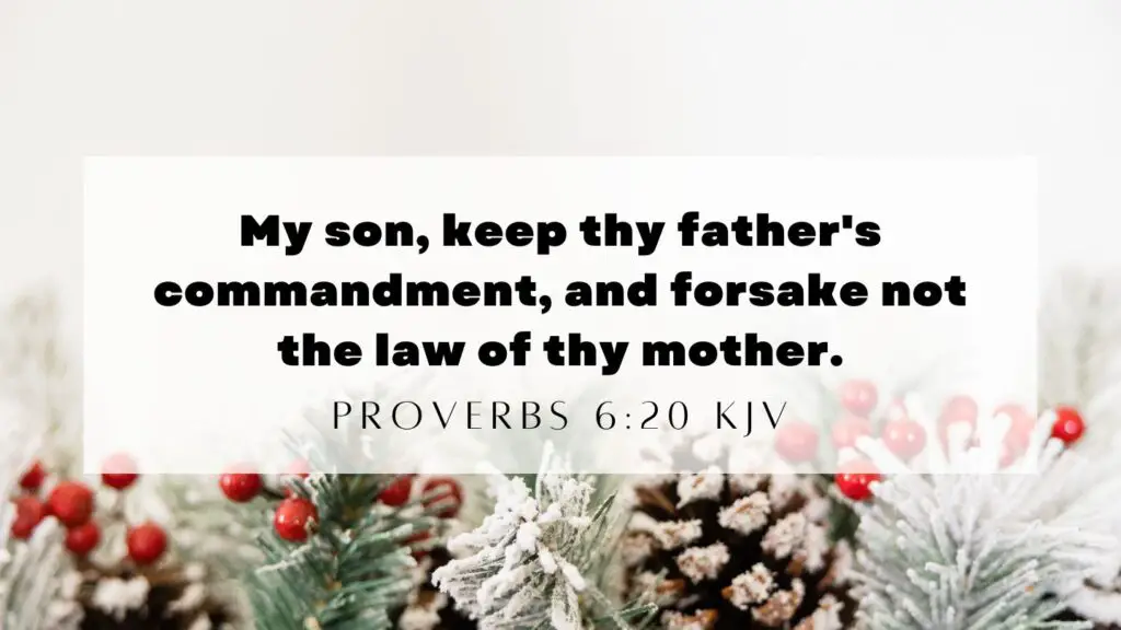 Bible Verse of the Day - December 28 2022 Friday KJV