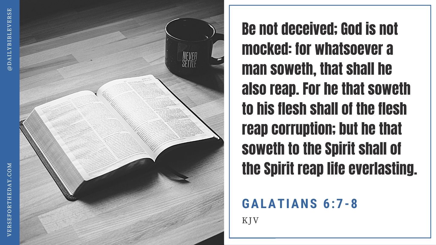 galatians 6 verse 8