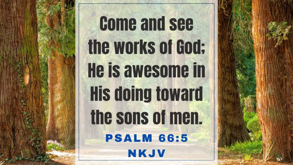 Bible Verse of the Day KJV Monday - February 27 2023