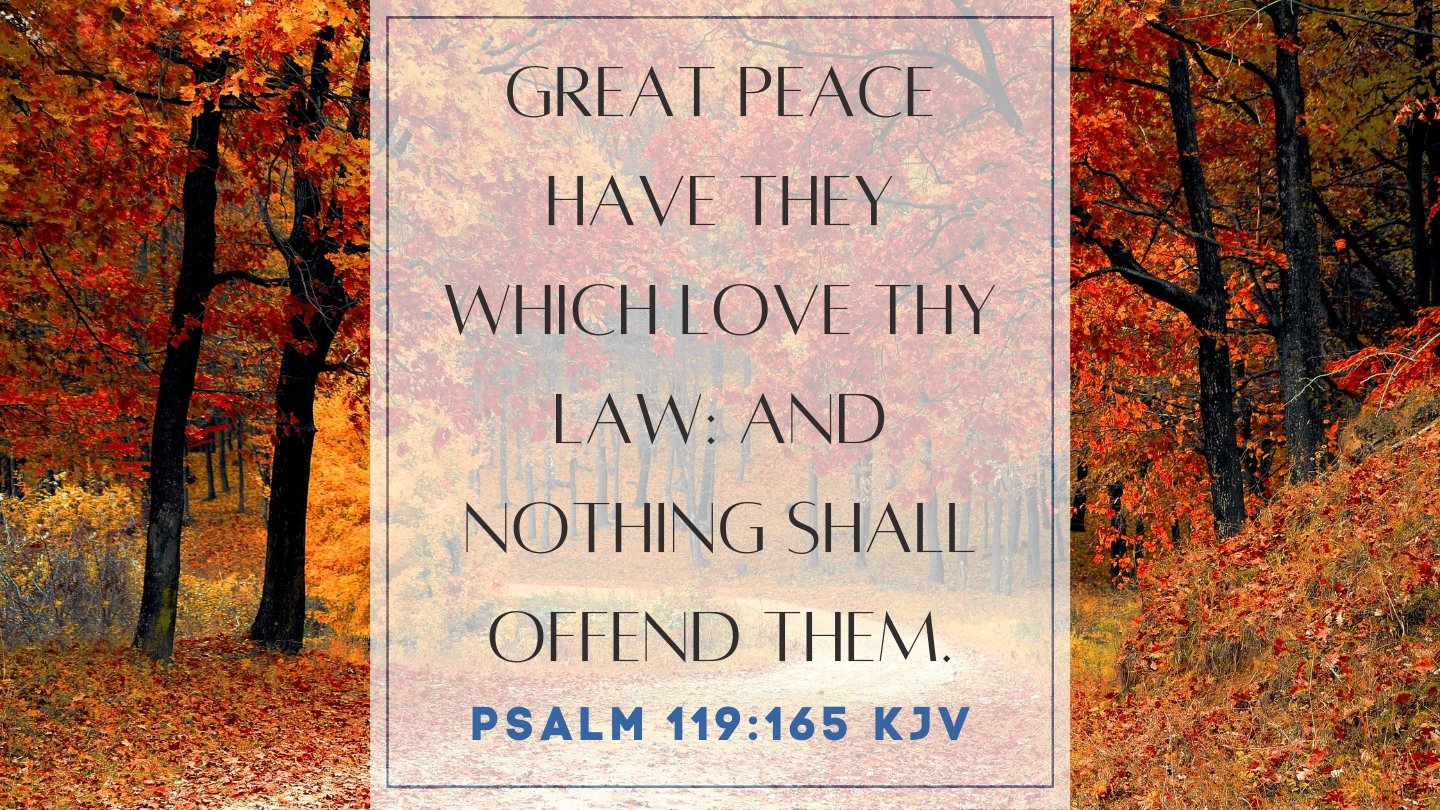 psalm-119-165-kjv-bible-verse-of-the-day