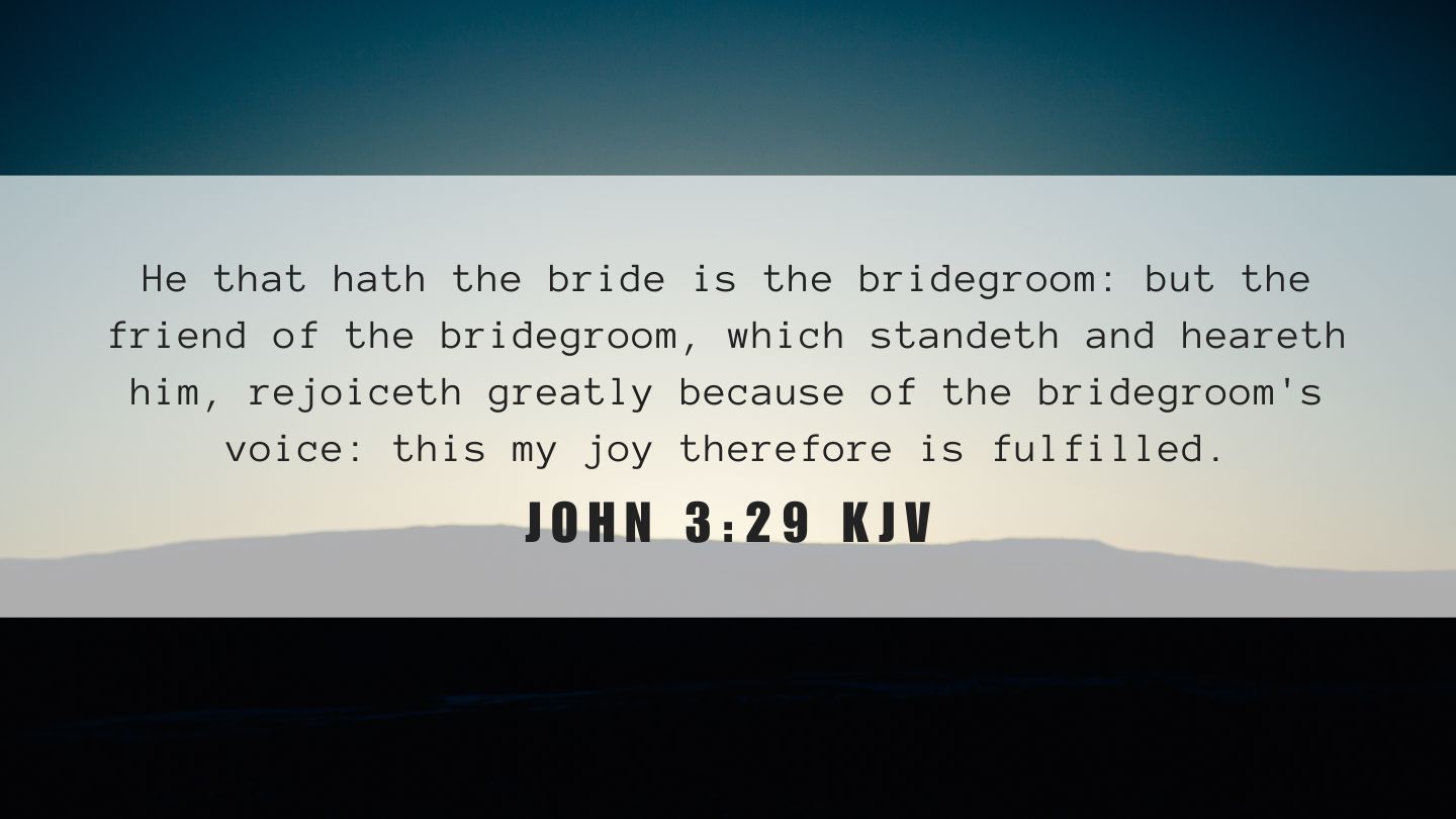 what-does-john-3-29-mean-bible-verse-of-the-day