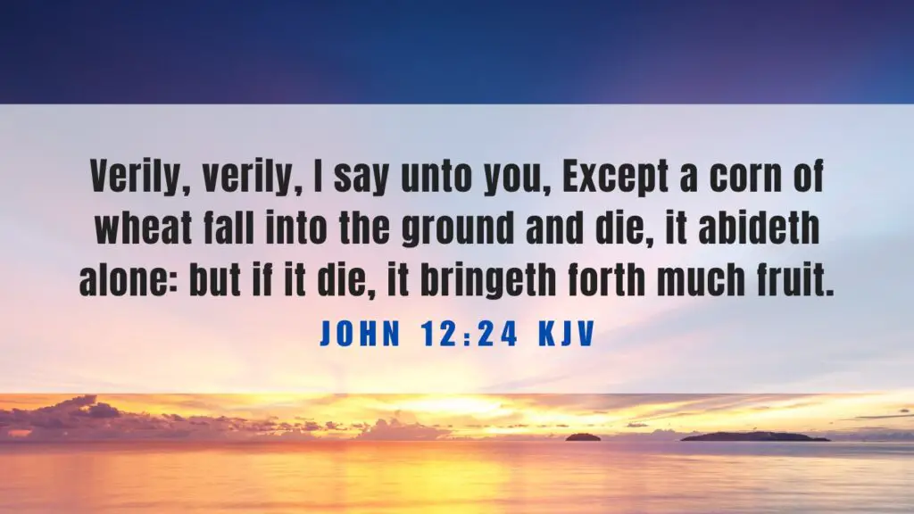 Bible Verse of the Day KJV - April 28 2023 Friday