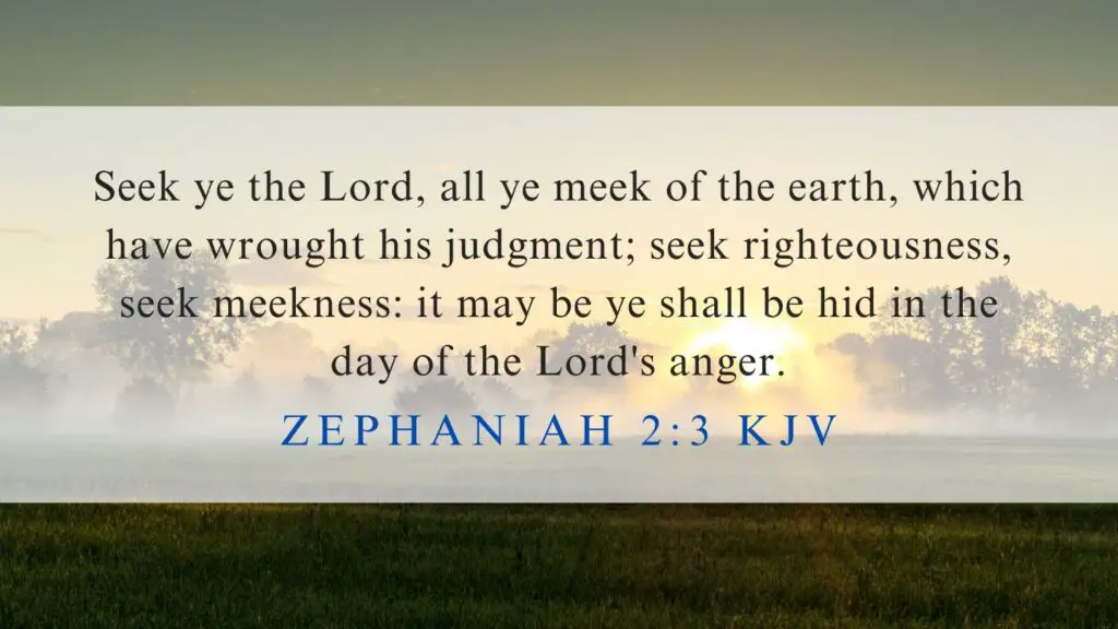 What does Zephaniah 2:3 mean