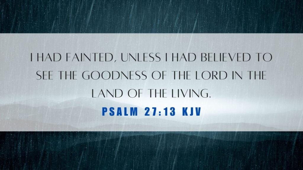 What Does Psalm 27 13 Mean 